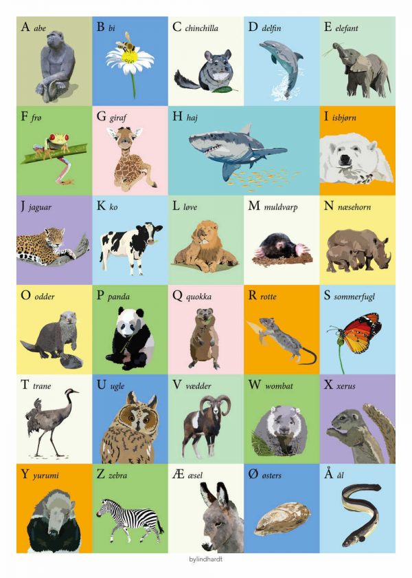 ABC plakat med dyr 1