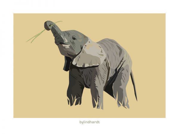 Elefant plakat 1