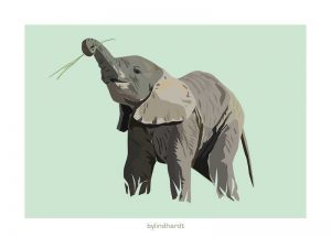 Elefant plakat 3