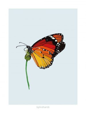 Sommerfugl plakat 1