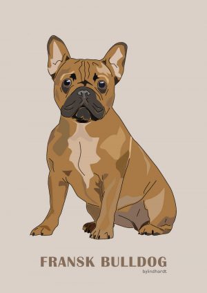 Fransk brun Bulldog