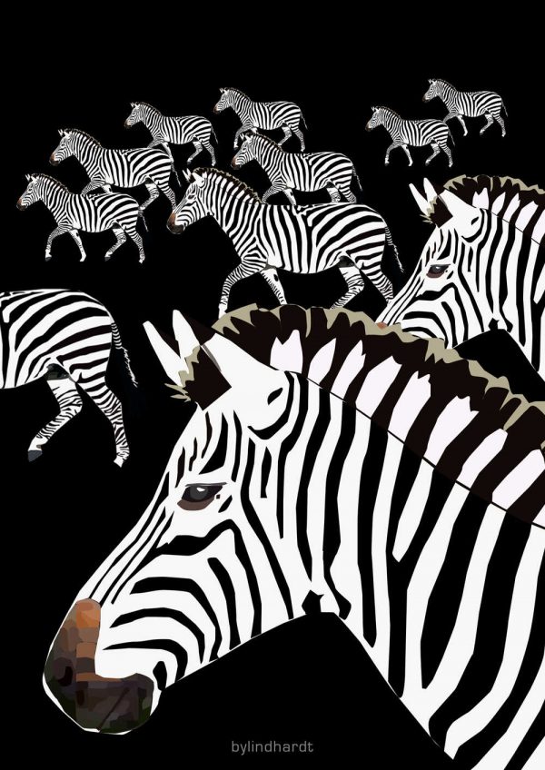 Zebra plakat