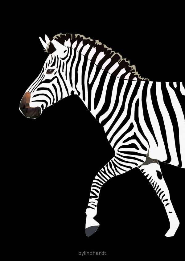 Zebra plakat - forkrop