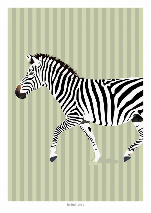 Zebra plakat